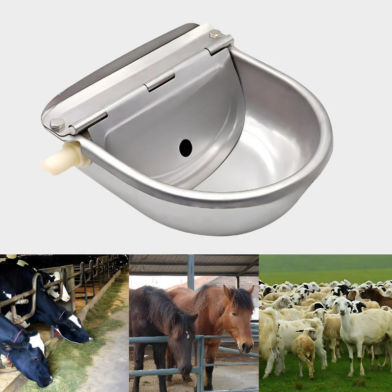 Automatic Water Trough For Livestock & Pets