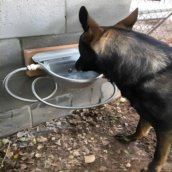 Automatic Water Trough For Livestock & Pets